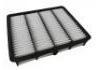 空氣濾清器 Air Filter:17801-46060