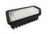 空氣濾清器 Air Filter:28113-1R100
