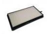 空調濾清器 Cabin Air Filter:64 11 1 393 489