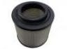 空氣濾清器 Air Filter:17801-0C010