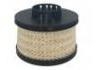 燃油濾清器 Fuel Filter:98 202 263 80