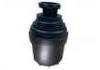燃油濾清器 Fuel Filter:5266016