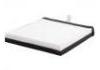 空調濾清器 Cabin Air Filter:8121123-SA01