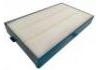 空調濾清器 Cabin Air Filter:11703980