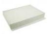 空調濾清器 Cabin Air Filter:T21-8107011