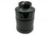 燃油濾清器 Fuel Filter:MB220900