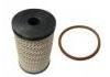 燃油濾清器 Fuel Filter:1001CAA14881N