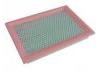 空氣濾清器 Air Filter:60561931