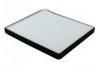 空調濾清器 Cabin Air Filter:A21-8107915DT