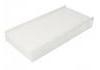 空調濾清器 Cabin Air Filter:6441-EJ