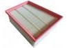 空氣濾清器 Air Filter:165468296R