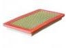 空氣濾清器 Air Filter:60538923