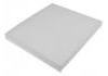 空調濾清器 Cabin Air Filter:25740404