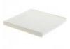 空調濾清器 Cabin Air Filter:1017016545