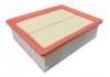 空氣濾清器 Air Filter:6000620495