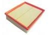 Air Filter:ESR0341