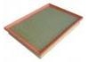 空氣濾清器 Air Filter:16546-00QAM