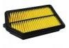 空氣濾清器 Air Filter:17220-55A-Z01